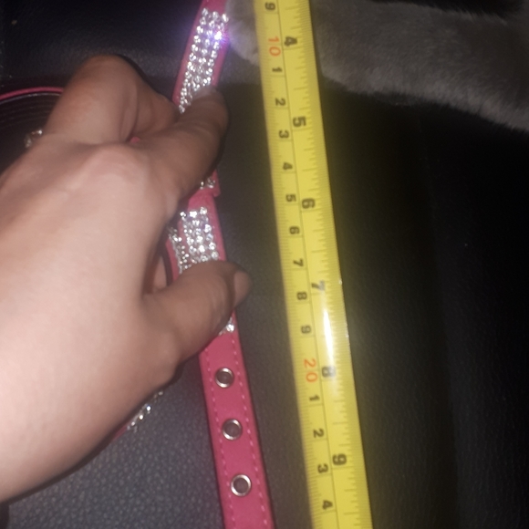 Cat/dog halter/leash - Picture 10 of 13